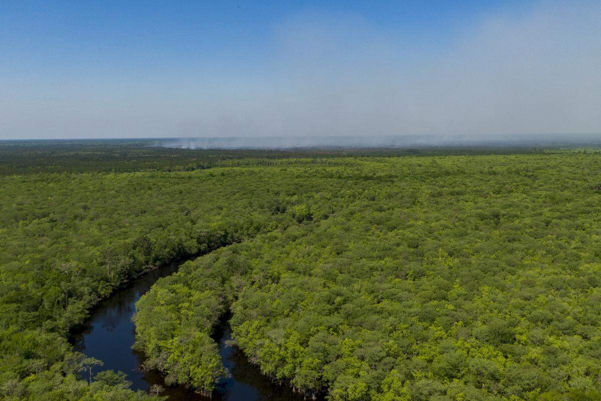 A burned area of wildfire can be seen in this aerial view from Punch Bowl Landing in Horry County, SC. April 15, 2026.