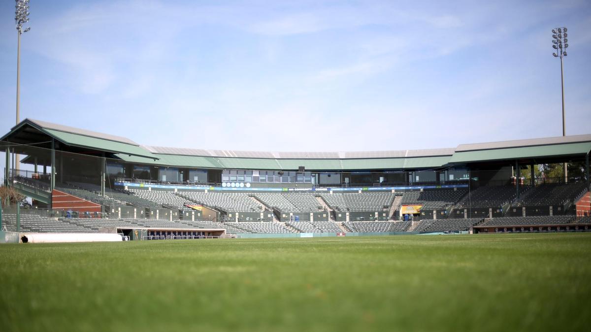 The Myrtle Beach Pelicans will offer several promotion nights this week featuring low-priced beer and tacos.