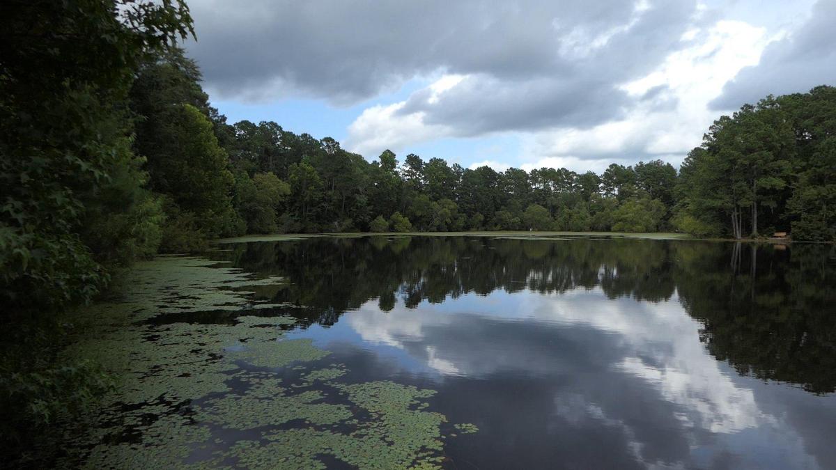 Cox Ferry Lake Recreational area is part of the Waccamaw River National Wildlife Refuge near Conway.