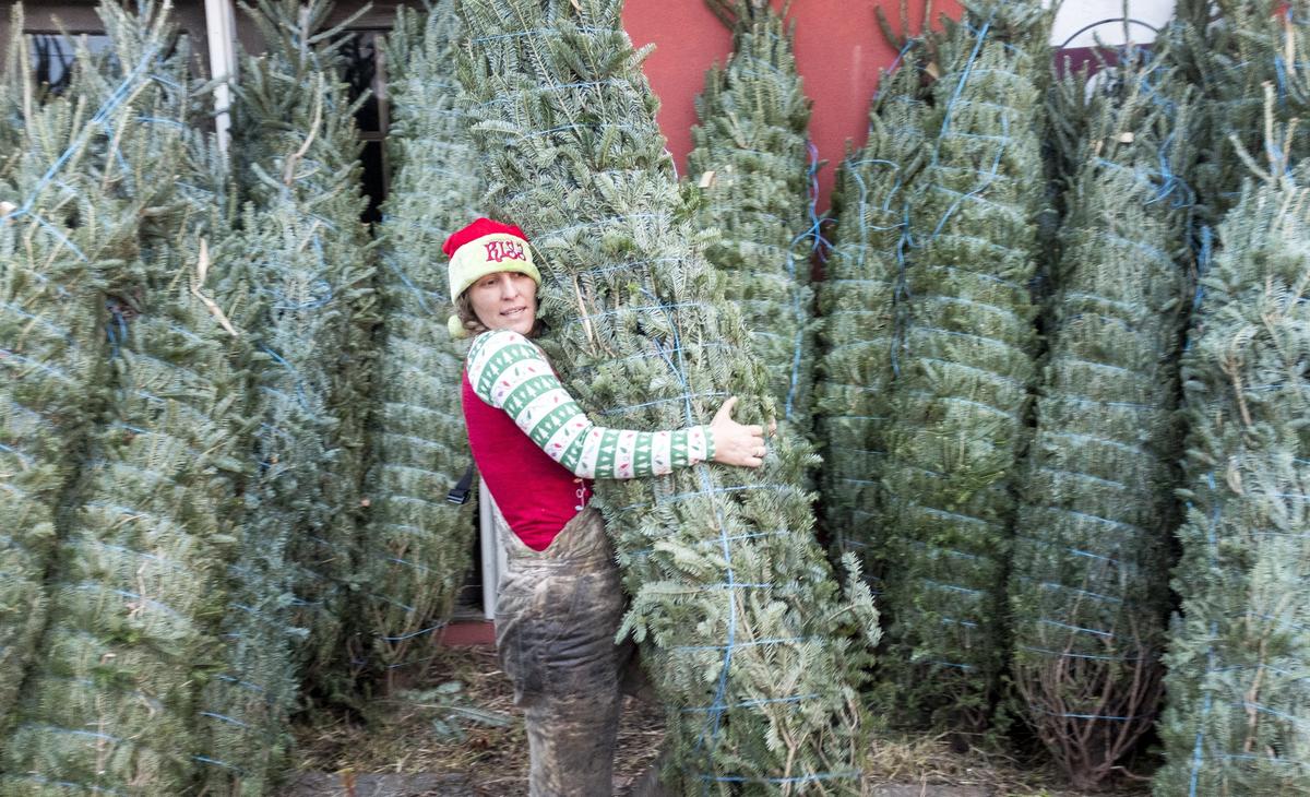 Local realtor, Tiffany Haley started working on her family’s tree farm at age 12 and has continued the tradition of selling Christmas Trees from her road side stand for the last eighteen years. Nov 26, 2018.