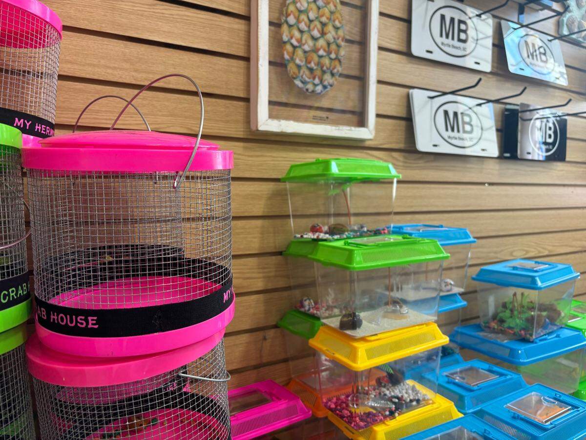 Hermit crab cages available for purchase at Bargain Beachwear in North Myrtle Beach. These cages are great when bringing the creature home, but hermit crab expert Mary Akers recommends a 10-gallon tank for one crab.