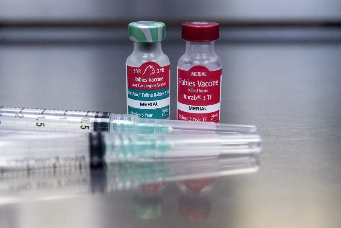 Rabies vaccines.