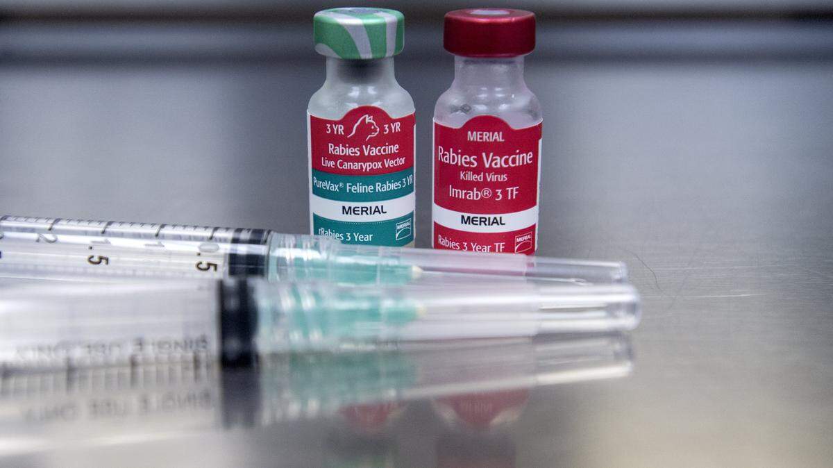 A raccoon has tested positive for rabies in Horry County, according to SCDPH. It’s the third animal in the county to test positive this year. 