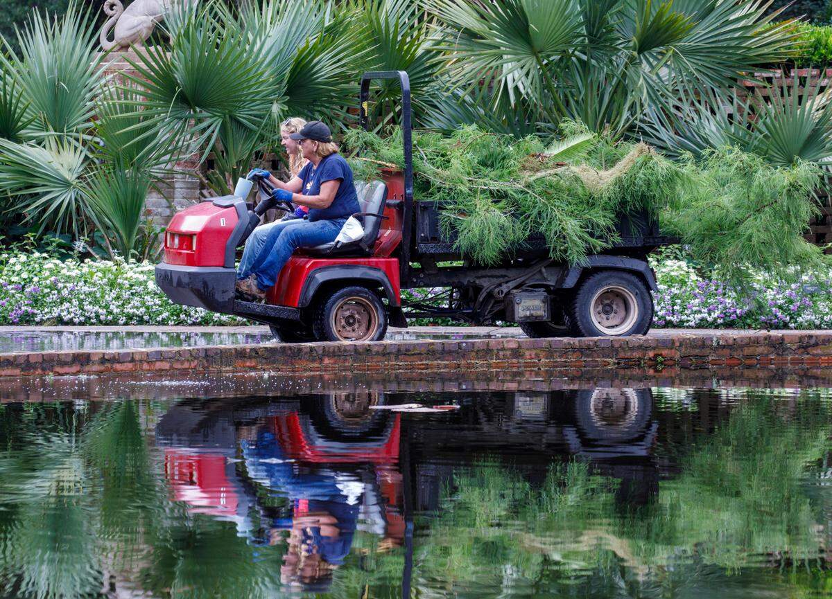 Staff members at Brookgreen Gardens work to remove storm debris after severe thunderstorm caused tree damage and power outages on the South end of the Grand Strand on Monday morning. The communities of Murrells Inlet, Litchfield and Pawleys Island, S.C. were still attempting to clean up the damage Monday afternoon. June 10, 2024.