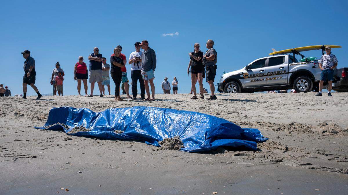 Officials removed a pigmy sperm whale that washed ashore south of Myrtle Beach State Park this afternoon. The whale, around 300 pounds was alive when it washed ashore around noon. May 4, 2023.