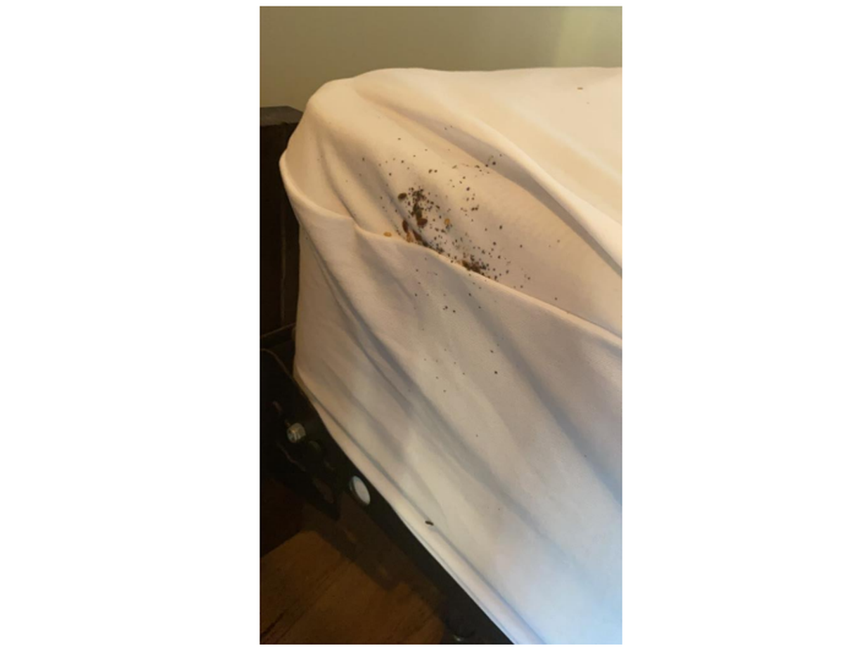 A photo of bed bug infestation at the North Beach Resort and Villas. Obtained from court documents.