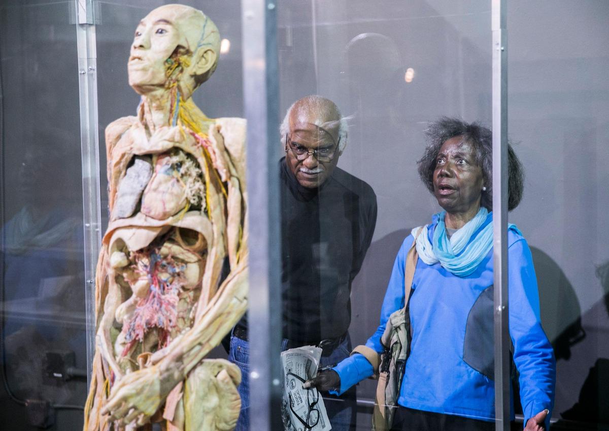 Dave and Hazel Farmer react to a display at the Bodies Human: Anatomy in Motion exhibit at Broadway at the Beach. “I think this is absolutely marvelous for humanity to know who they really are and to see their bodies. This is magnificent. This is fascinating,” Mrs. Farmer said. The exhibit features real human bodies, organs and body parts that have been preserved through corrosion casting and polymer preservation. Apr 12, 2019.