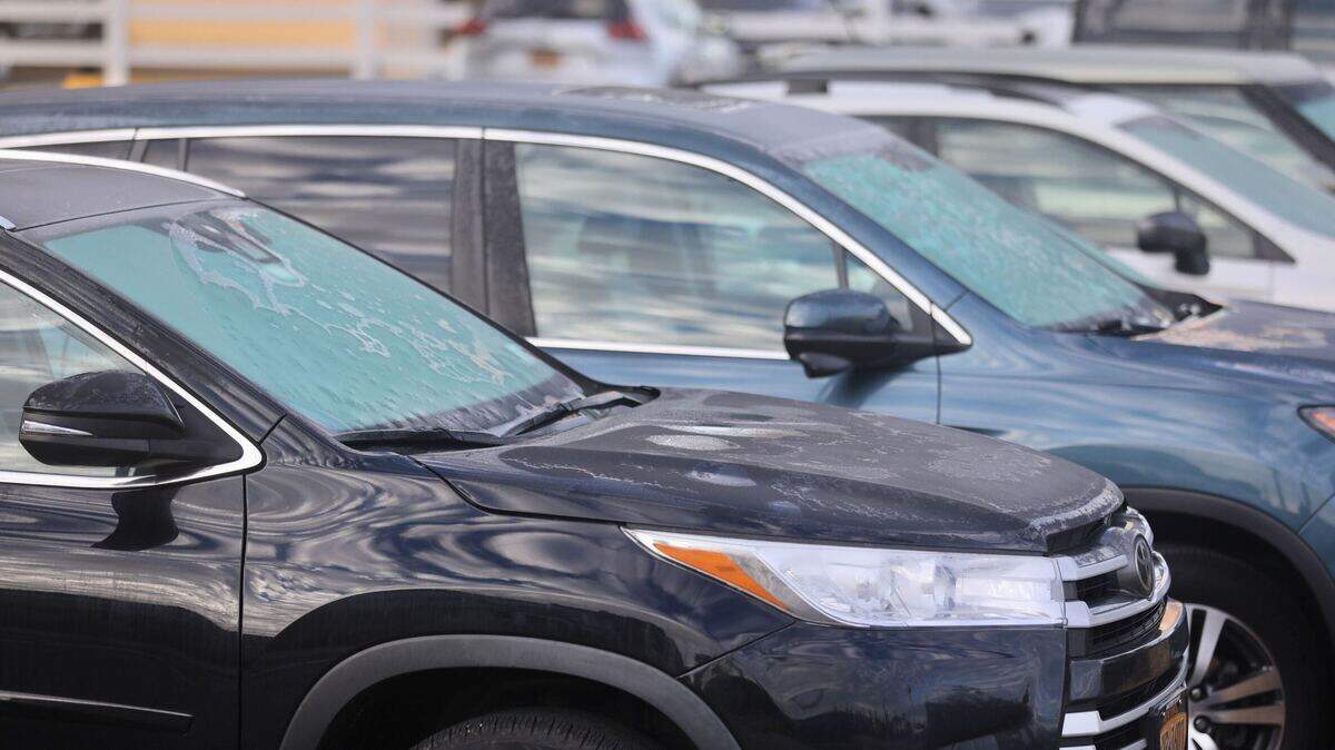 Frost covers cars in a parking lot in North Myrtle Beach, SC. Jan. 18, 2024
