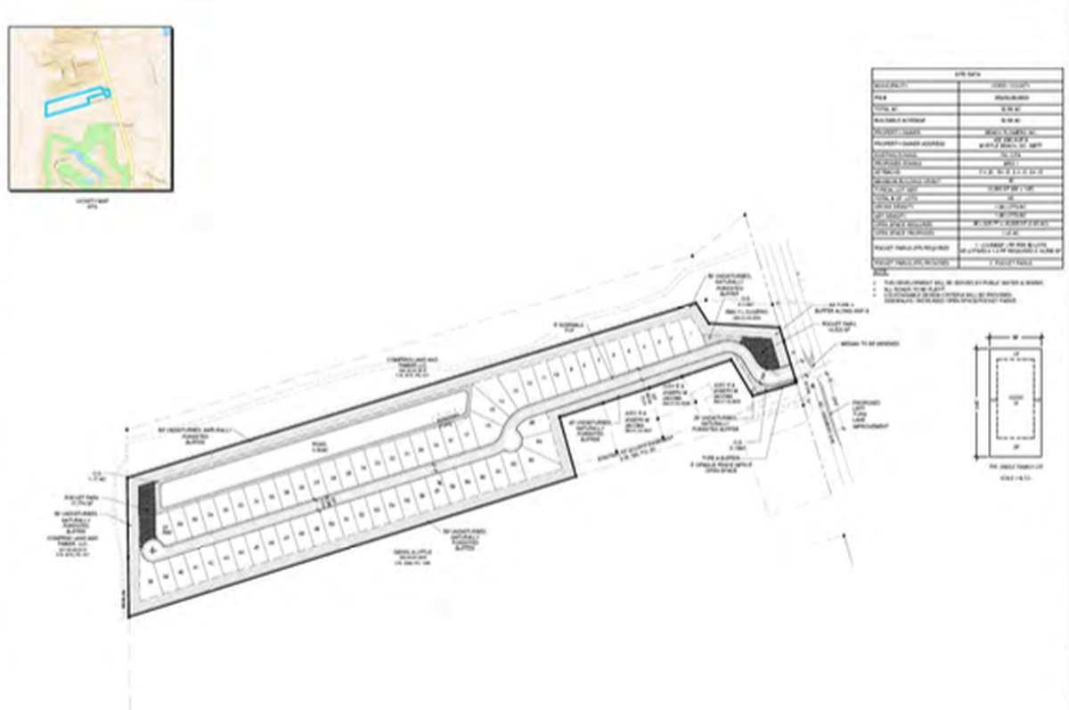 A rendering of a proposed new single-family home community near the Long Bay Golf Club in Longs, S.C. The community would have 65 homes if it receives approval from the Horry County Council on third reading at the Feb. 4, 2025, meeting.