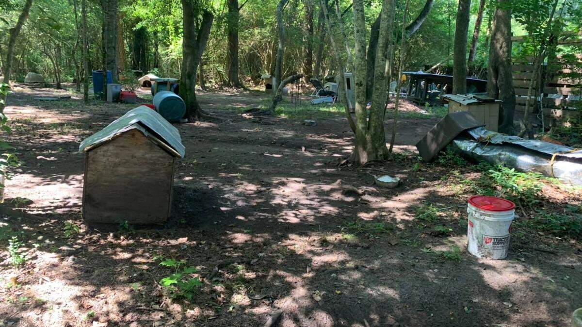 Horry County Police are investigating an animal neglect case involving at least 30 animals that are receiving emergency medical treatment at the Horry County Animal Care Center.