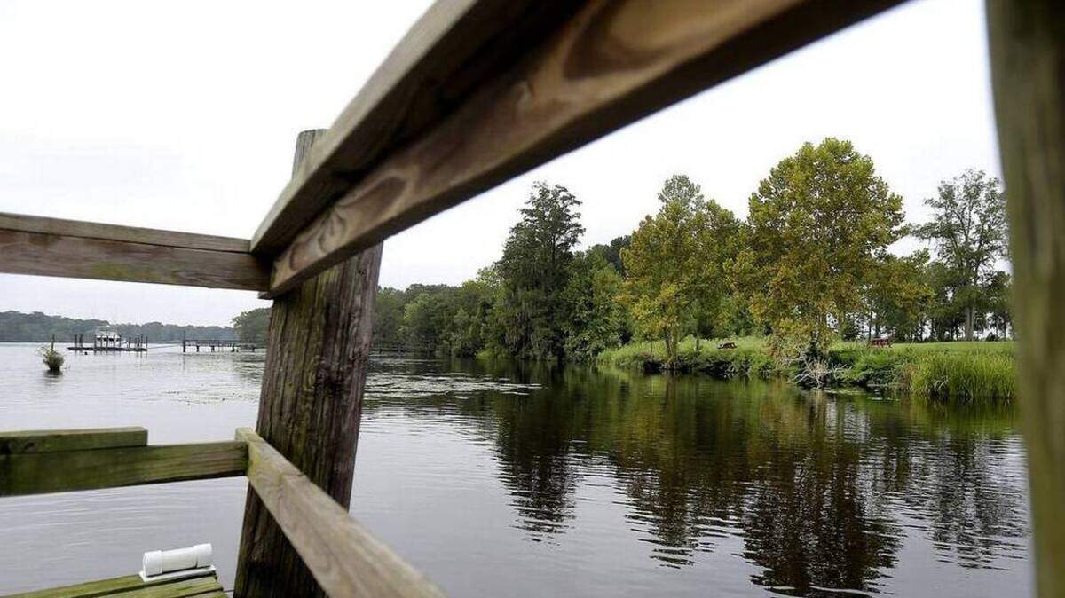 Between a private dock and Bucksport Marina is the site of the proposed marine industrial park in the Bucksport community of Horry County.