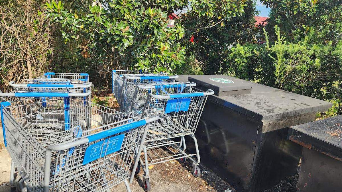 Abandoned shopping carts sit next to a pair of trash bins in a plaza just off U.S. Highway 501 in Myrtle Beach. City crews returned more than 120 swiped buggies to local businesses between April and September 2022.