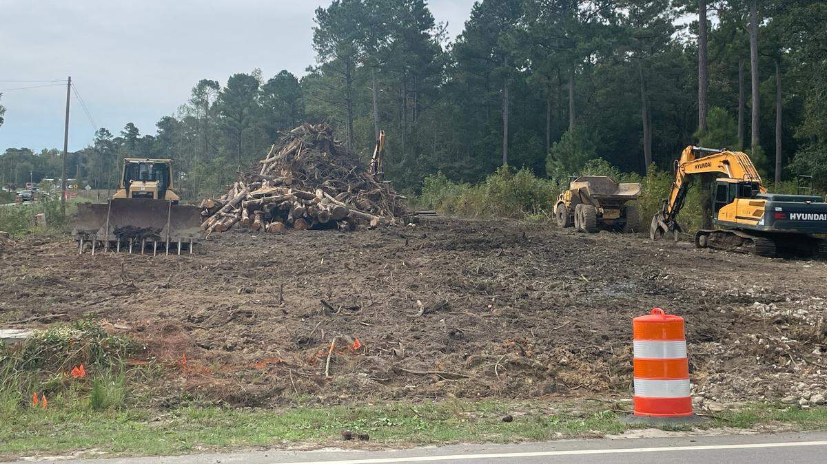 Trees that have been cut down were stacked up along US 701 near the Conway branch of the South Carolina Department of Motor Vehicles. The project is part of the Ride III initiative.