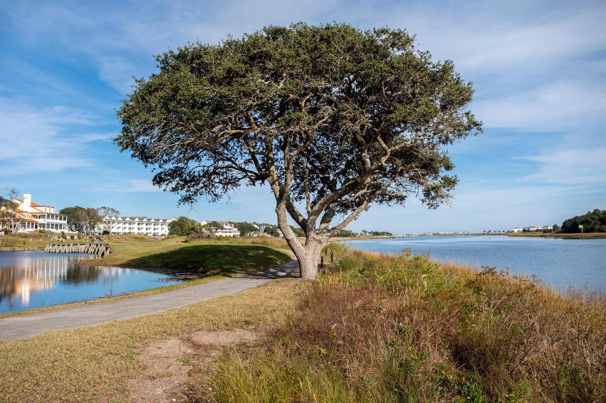 The clubhouse of the Brick Landing Plantation Golf Club sits on the banks of the Intracoastal Waterway just over the North Carolina line in Brunswick County. The course has been closed since Jan. 1, 2020, but it has been purchased and may reopen under new ownership. November 11, 2019.