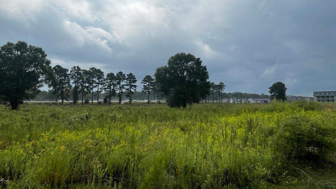 Is a new home development planned for Carolina Forest? Here’s what we know