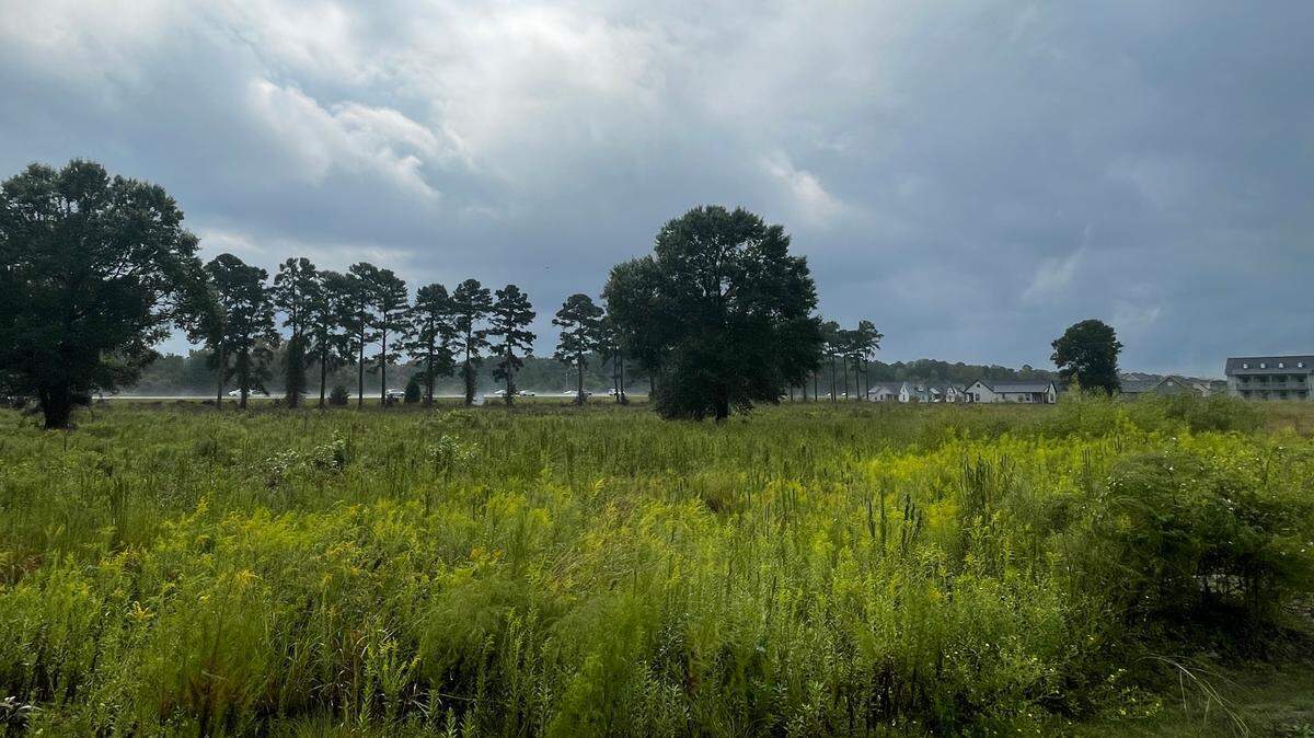 Undeveloped land in Carolina Forest, S.C., near The Cottages at Myrtle Beach, could be scheduled for new development by national home builder DRB Homes. The firm’s Charleston division owns the property.