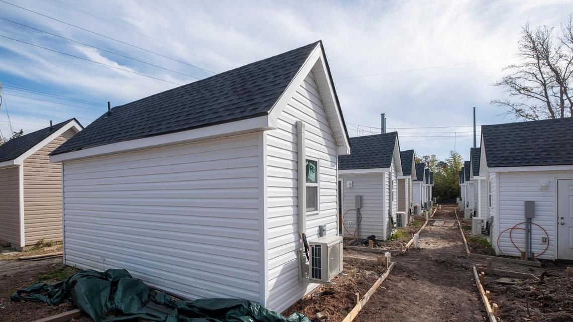 Lexington County Council is considering new rules for tiny homes.