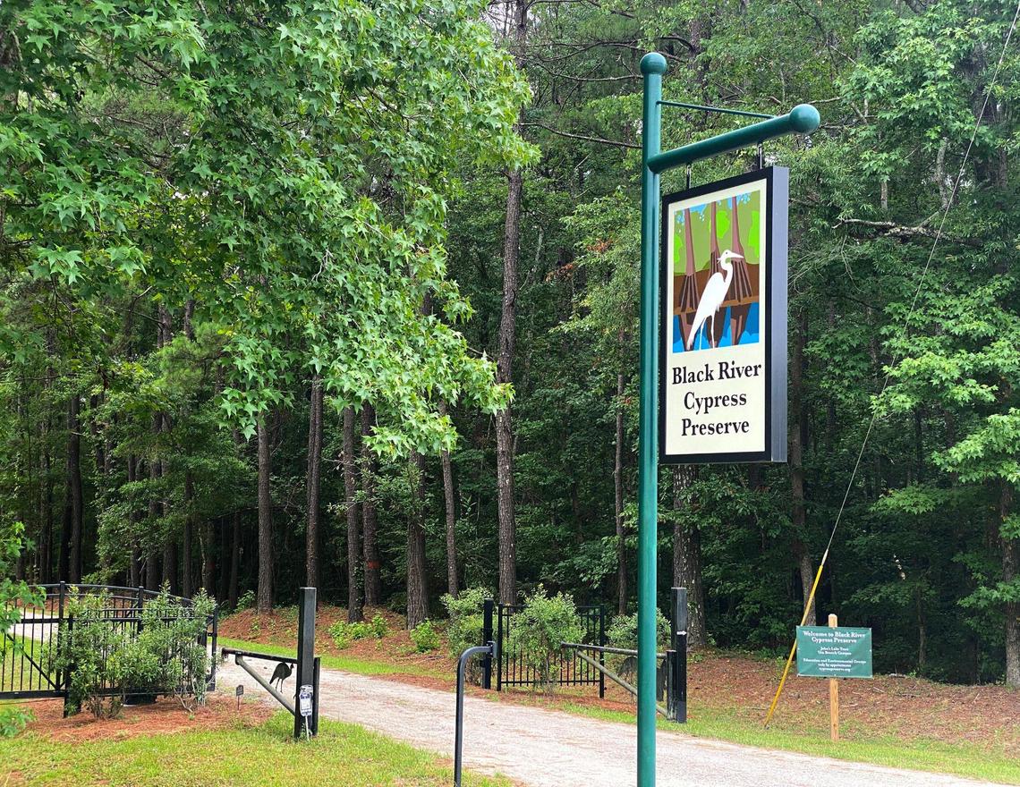 The Black River Cypress Preserve is one of twelve public and private parks along the Black River Water Trail & Park network which stretches 70 miles from Kingstree, S.C. to near Georgetown, S.C. This preserve is expected to serve as a model for the development of the first new state park in South Carolina in over twenty years. June 28, 2022.