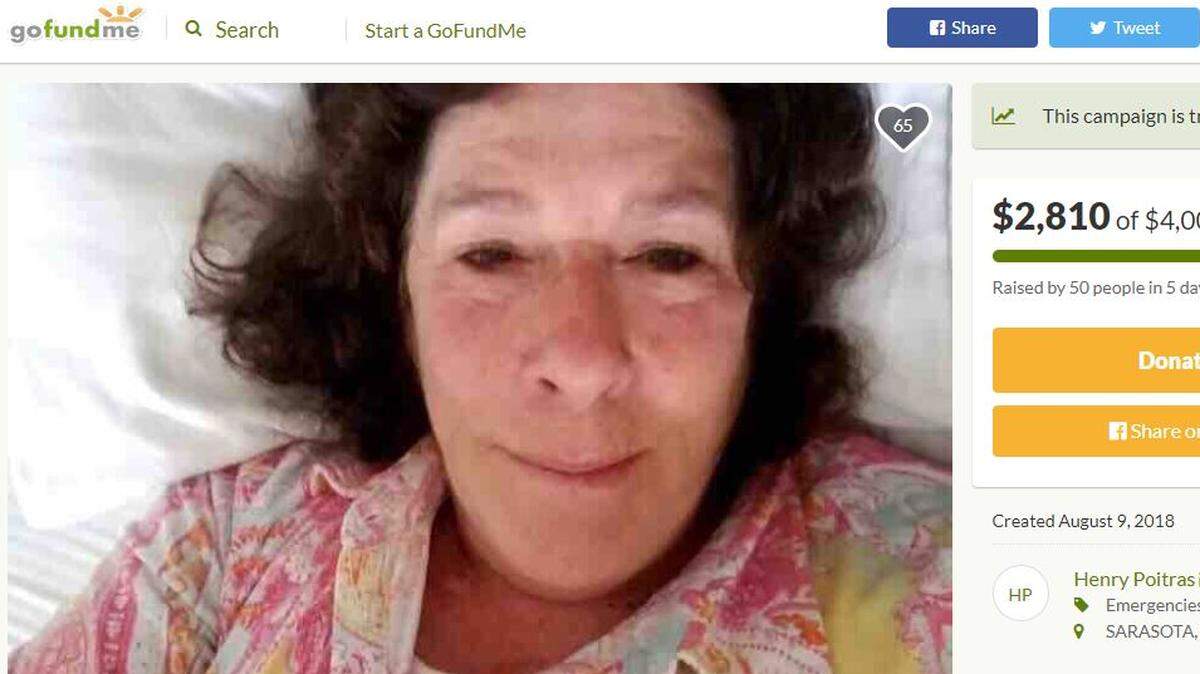 Screenshot of Pamela Viles campaign from GoFundMe -