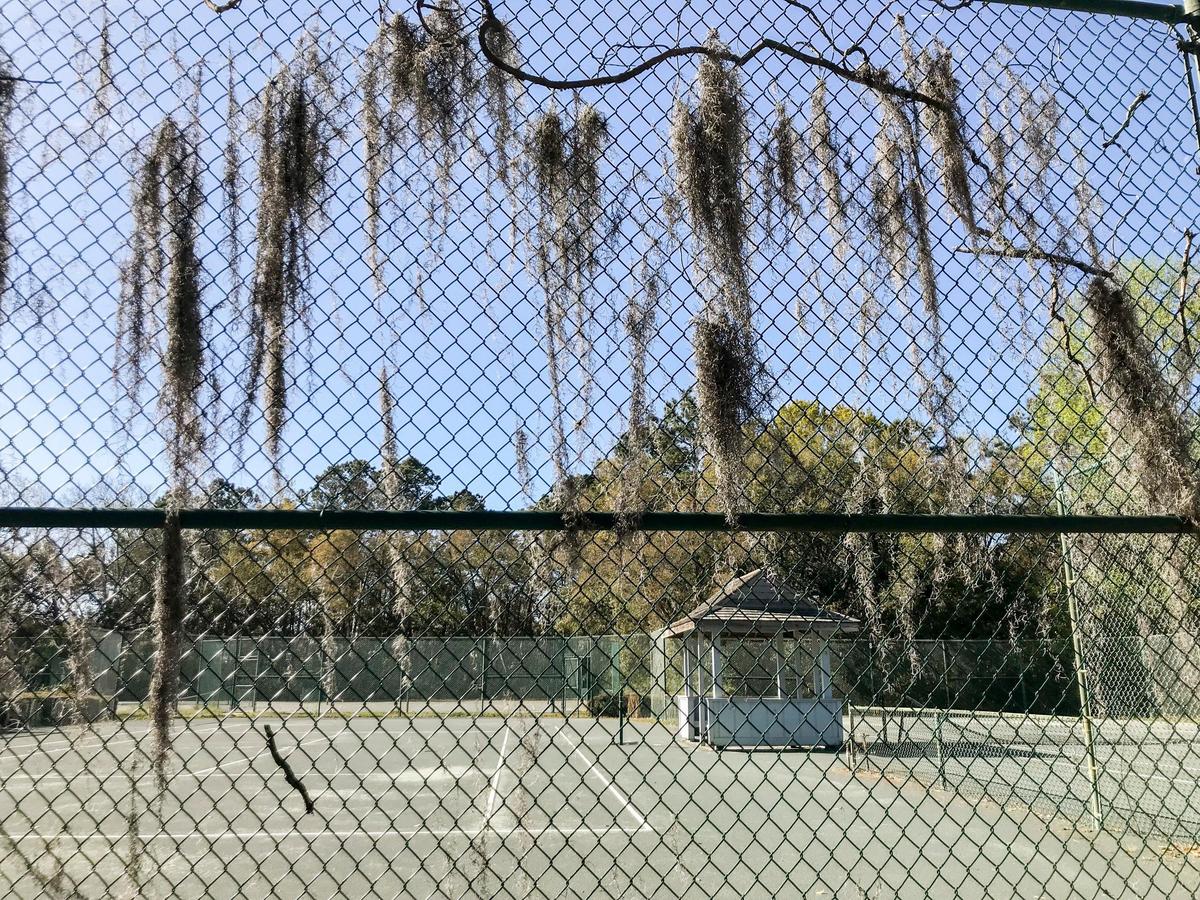 The 17 clay courts at the Litchfield Country Club lay abandoned. Developers are planning to purchase the site to build 108 one bedroom condos but former members of the club are resisting zoning changes to the site in Georgetown County. Mar 28, 2019.
