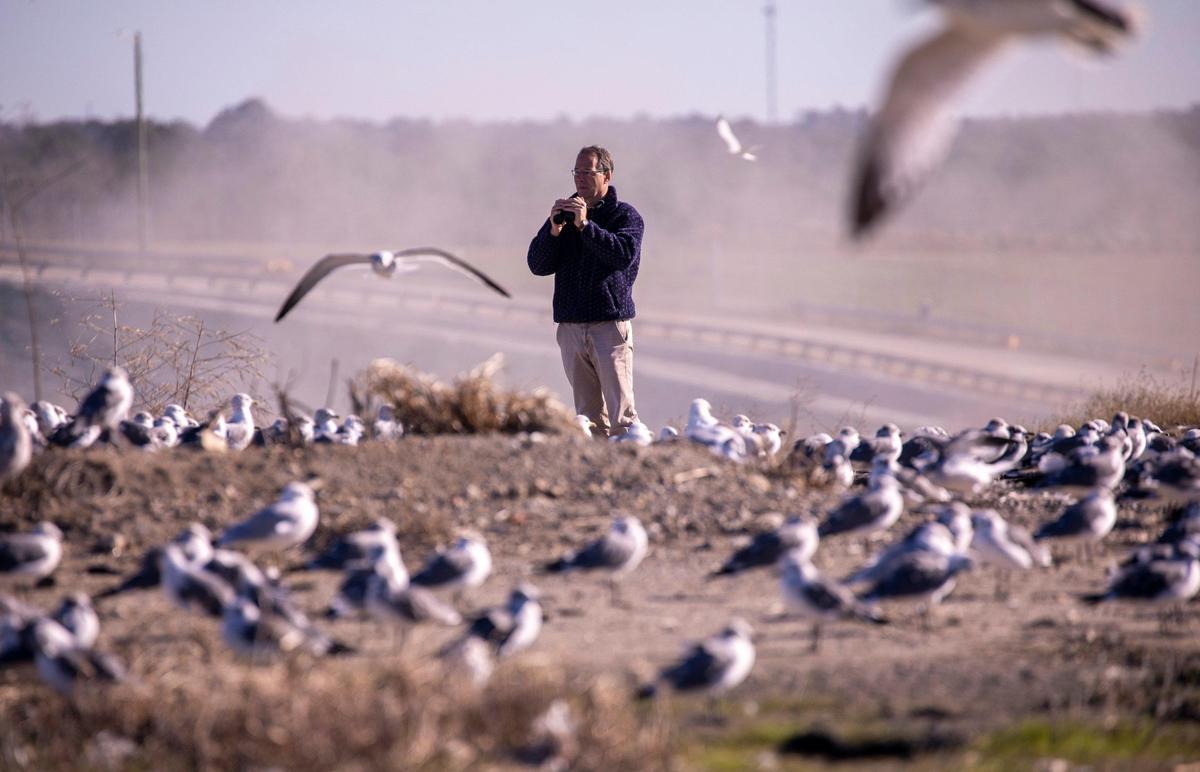 Chris Hill, Professor of Biology at Coastal Carolina University and an avid birdwatcher, counts species of gulls at the Horry County Solid Waste Authority landfill on Monday, Jan. 6, 2019.
