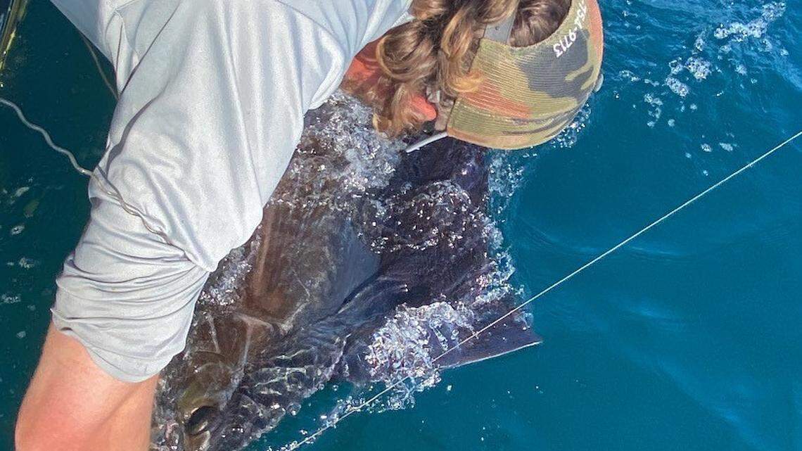 Sailfish showing up inshore; Monster wahoo landed in Murrells Inlet