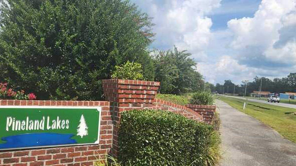 A vegetation buffer shades homes near the S.C. 905 entrance of the Pineland Lakes subdivision in Horry County on Sept. 14, 2023.