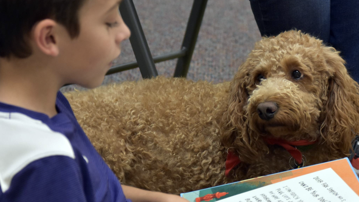 Boy reading to therapy dog at Chapin Memorial Library in Myrtle Beach as part of the Paws for Reading program.