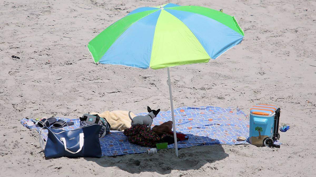 A beach umbrella became un-anchored and hit a woman, severely injuring her. She is now suing the companies.