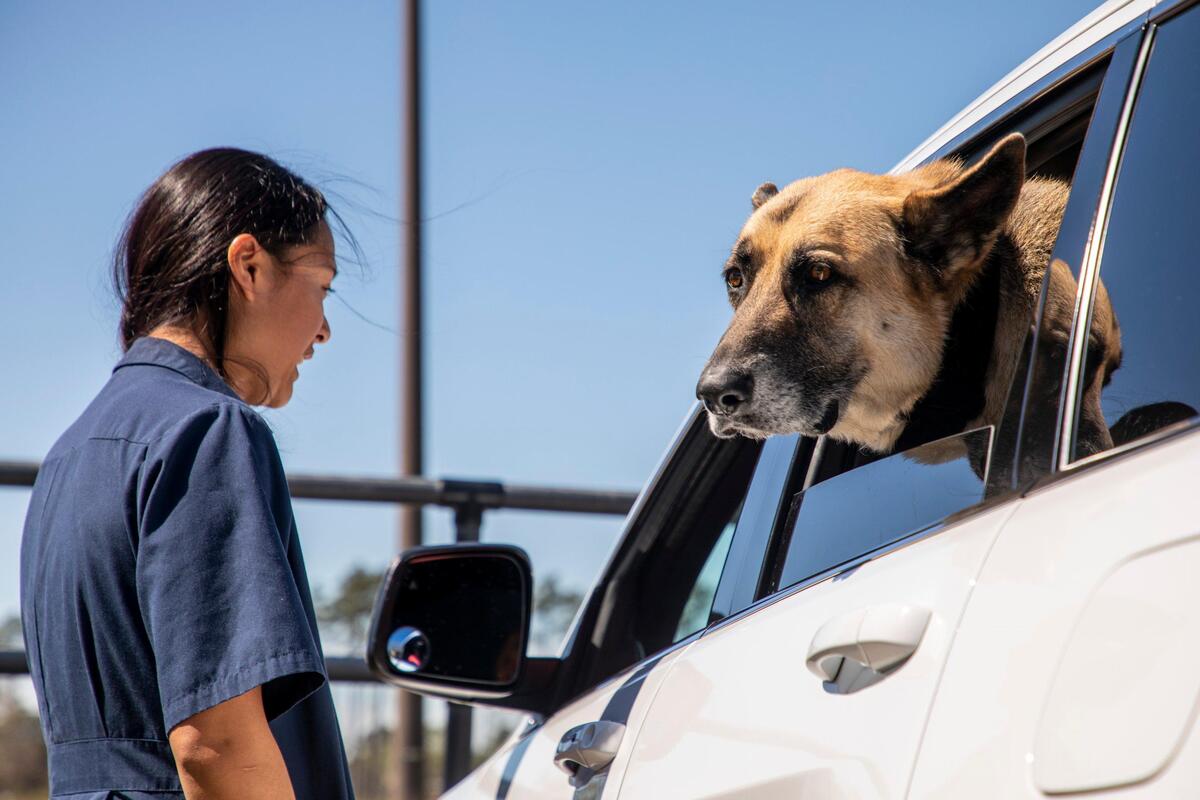 Dr. Isabelle Ying speaks with Todd Cappellino in his car while his dog “Dunham” hangs his head from the window at the Myrtle Beach Animal Hospital. Local veterinarians are finding ways to treat animals while keeping their owners and staff safe during coronavirus outbreak. March 26, 2020.