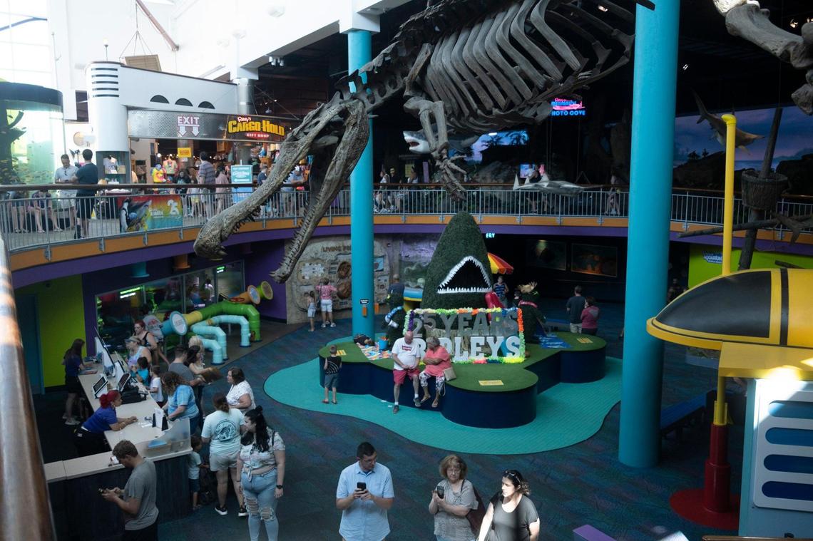 Ripley’s Aquarium is celebrating their 25th year of entertaining and educating guests in Myrtle Beach. June 15, 2022.