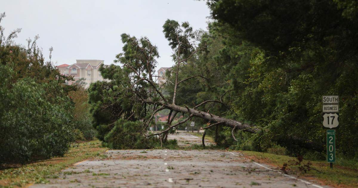 A tree lies over southbound U.S. 17 Business near Grande Dunes in Myrtle Beach.