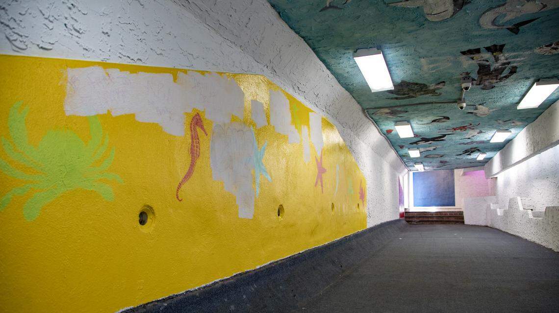 Murals adorn the ceiling and walls of the Sea Mist tunnel, which runs underneath Ocean Boulevard at the corner of 13th Ave. S. and Ocean Boulevard.
