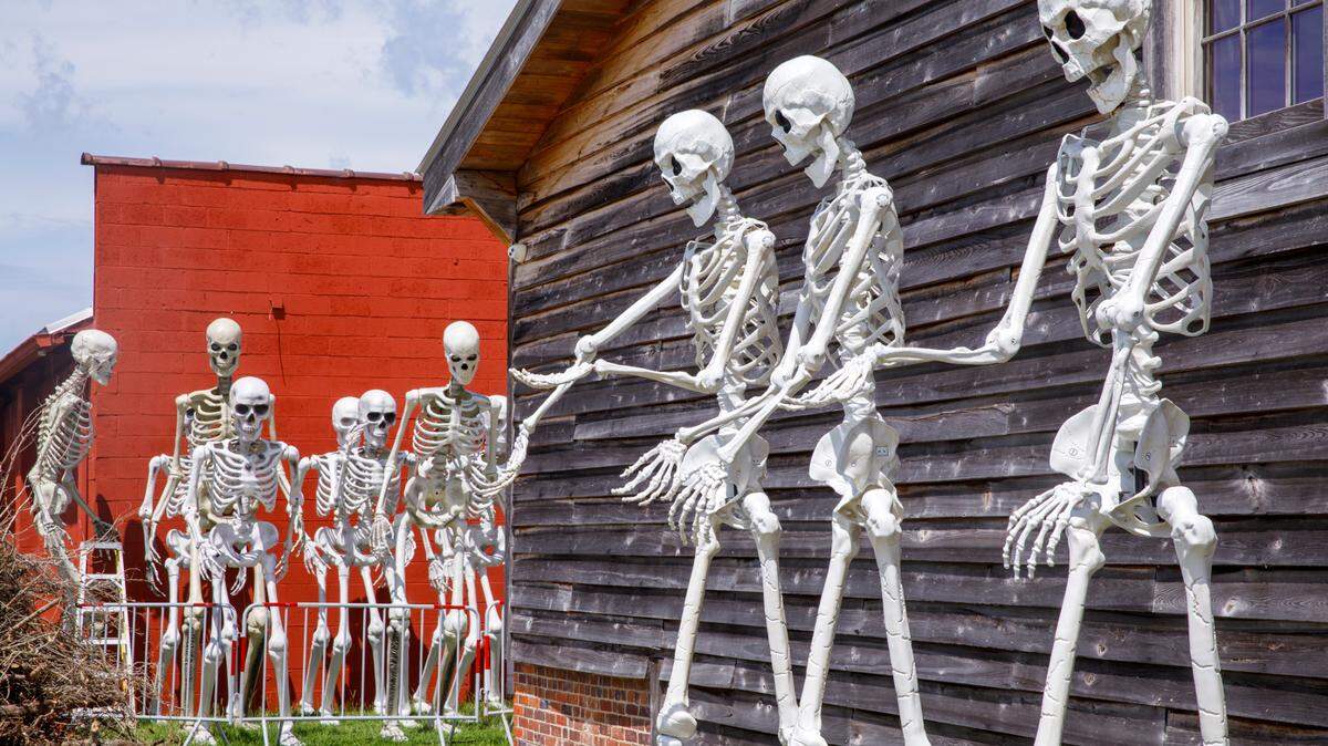 Officially named the City of Halloween during the month of October, Conway is known for the spooky decorations the city puts up for its annual celebration. The Sun News is looking for the craziest, coolest, creepiest residential Halloween displays in the Myrtle Beach area and we want to see your decorations.