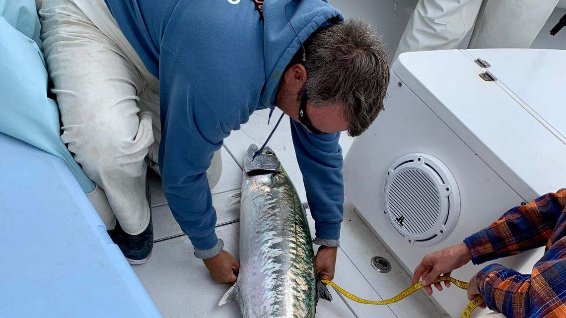 ‘We knew it was going to be close’: Southport crew wins U.S. Open King Mackerel Tournament
