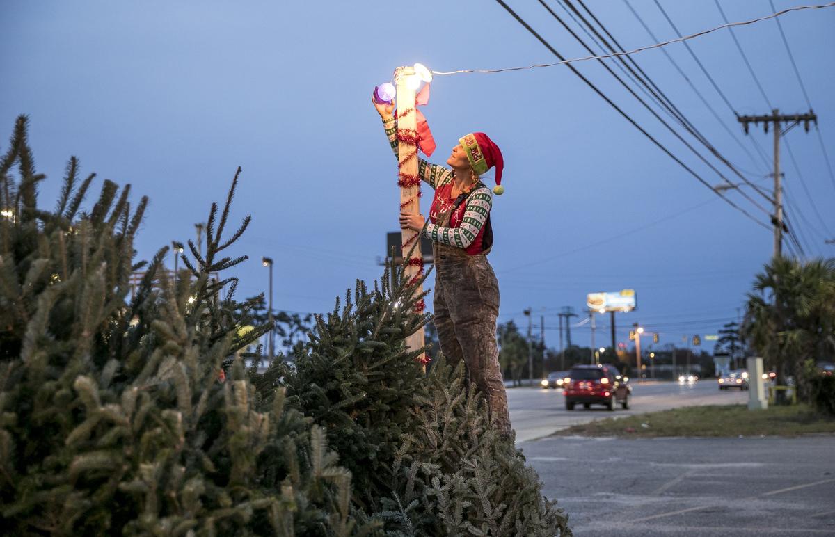 Tiffany Haley turns the lights on her road side Christmas tree display at Tiffany’s Trees at 9708 N. Kings Highway. The local realtor started working on her family’s tree farm at age 12 and has continued the tradition of selling Christmas trees from her road side stand for the last eighteen years. Nov 26, 2018.