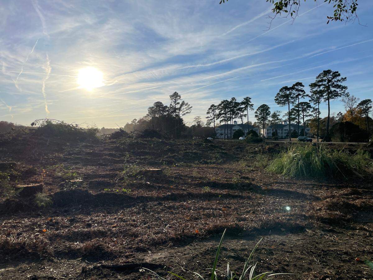 Construction workers cleared land near the World Tour Golf Links in the Carolina Forest section of Myrtle Beach. Horry County Land Records indicate the property’s designated for development.