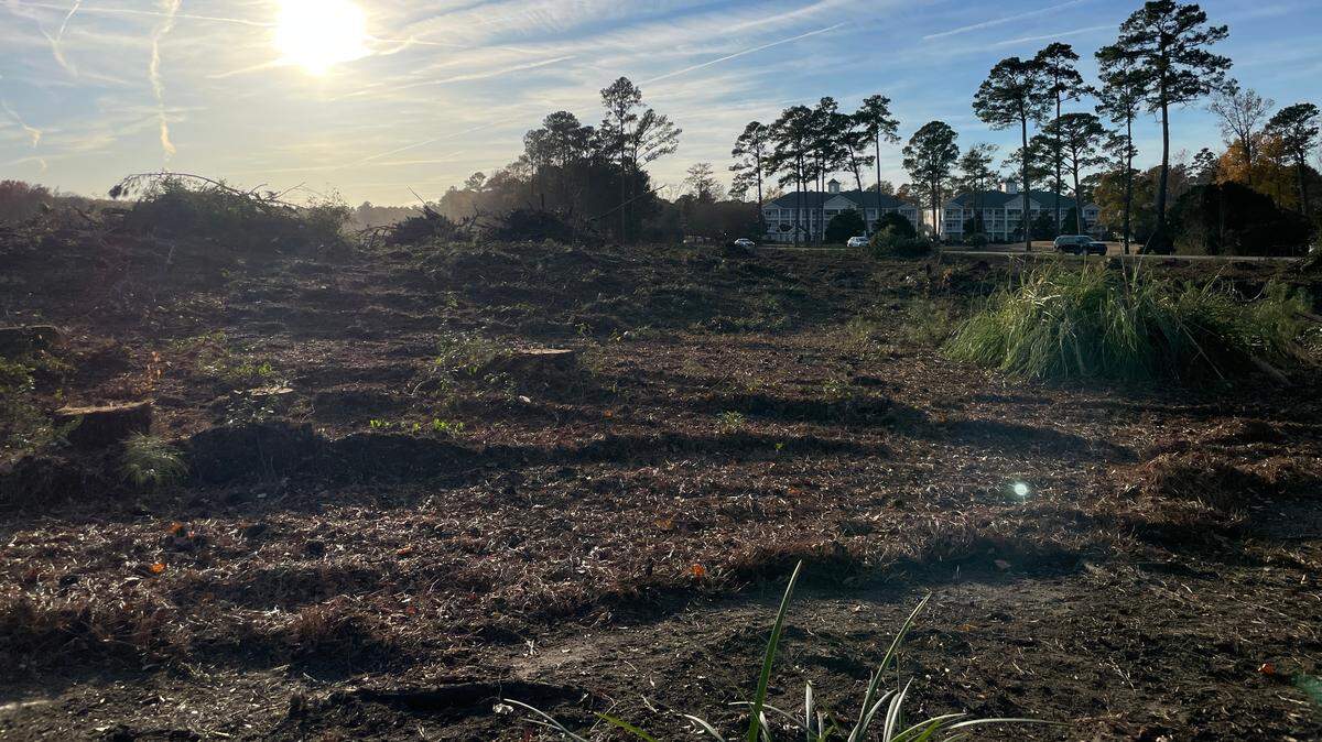 Construction workers cleared land near the World Tour Golf Links in the Carolina Forest section of Myrtle Beach. Horry County Land Records indicate the property’s designated for development.