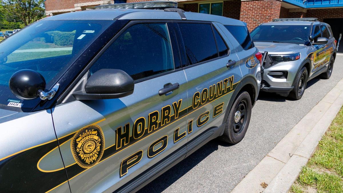 File art of Horry County Police at M.L. Brown Law Enforcement Center in Conway, SC. April 17, 2025.