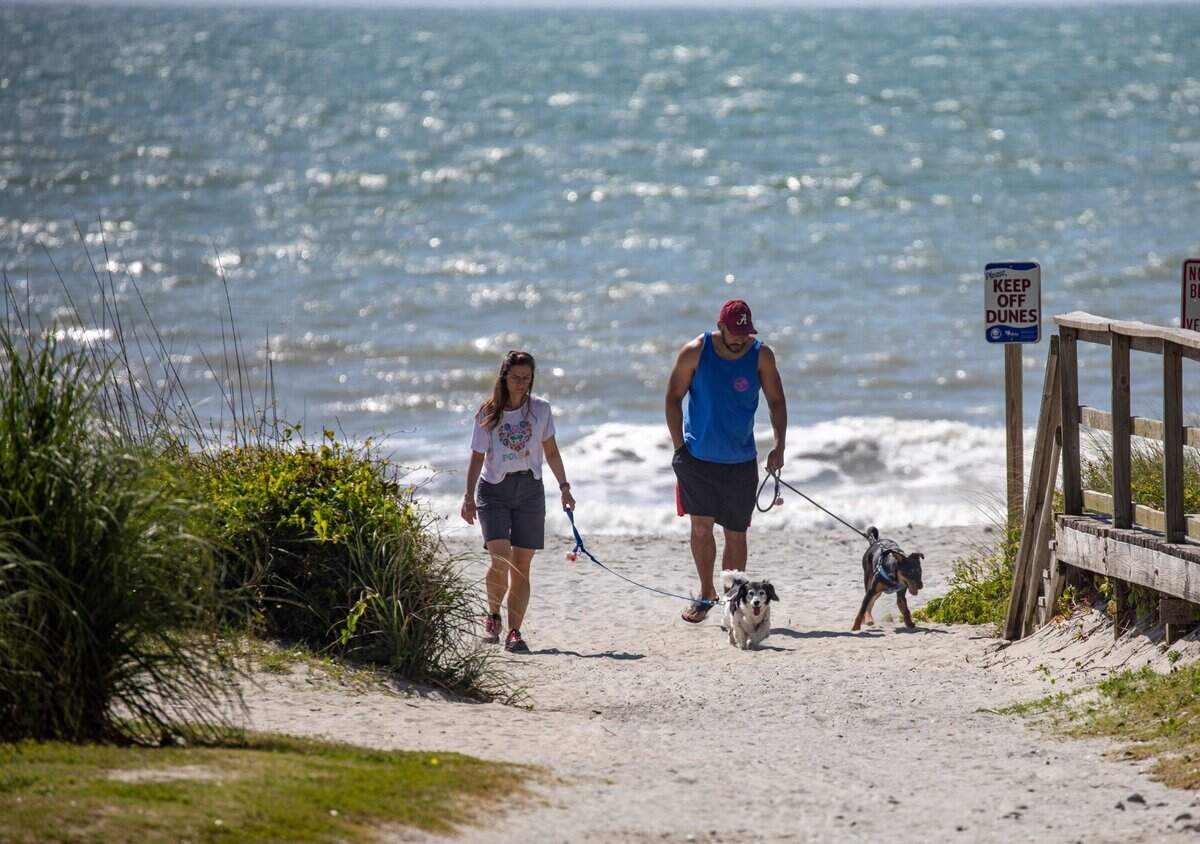 Dog walkers and beachgoers cross a public access point in Myrtle Beach. April 29, 2020