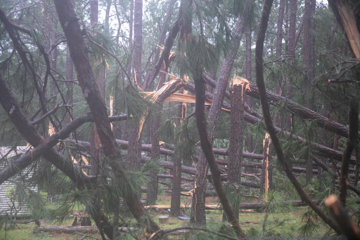 Trees were snapped in the housing develop at River Hills Golf & Country Club in Little River after reports of a tornado on Thursday. As Hurricane Dorian approached North Myrtle Beach on Thursday reported tornados damaged buildings and a lashing rain brought flash flooding to area roads. Thursday Sept. 05, 2019.