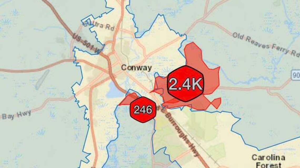 More than 2K Horry County residents wake up to no power. This reptile was the reason
