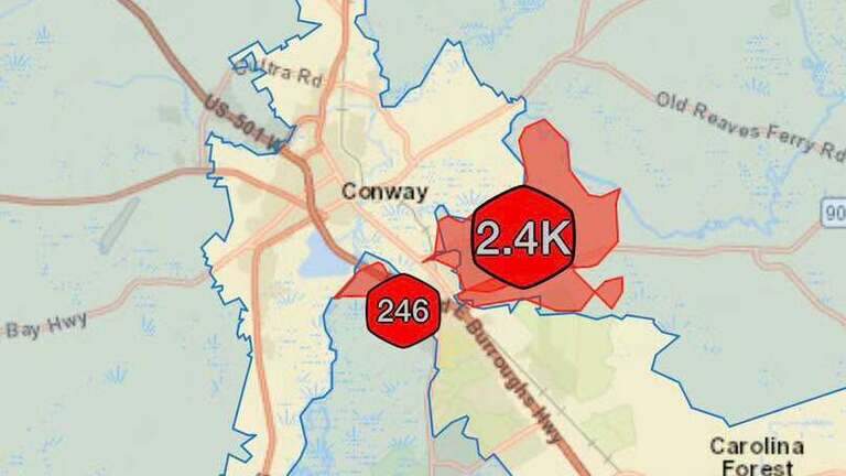 More than 2K Horry County residents wake up to no power. This reptile was the reason