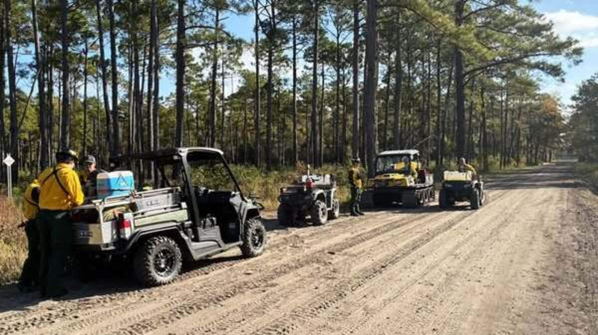 A portion of International Drive will close temporarily between Nov. 12-15 as the city conducts controlled burns in the area.