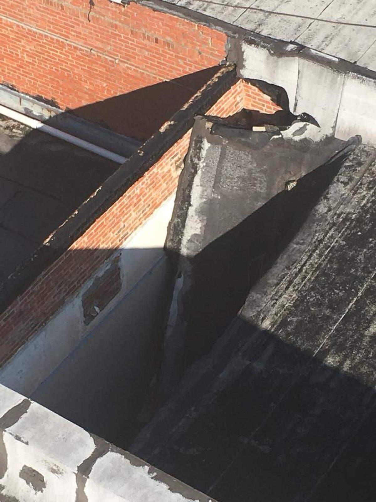 A portion of Loris City Hall’s roof collapsed during Tropical Storm Florence directly above the city’s records department, leaving many important records likely destroyed.