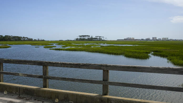 Photos: Take a tour of one of the last undeveloped sea islands on the S.C. coast.