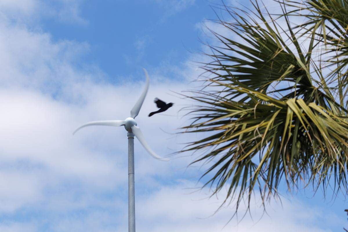 A wind turbine spins over the Russell Burgess Coastal Preserve in North Myrtle Beach, SC. Santee Cooper and the City of North Myrtle Beach constructed a few small turbines, mainly to increase public awareness. April 30, 2026.