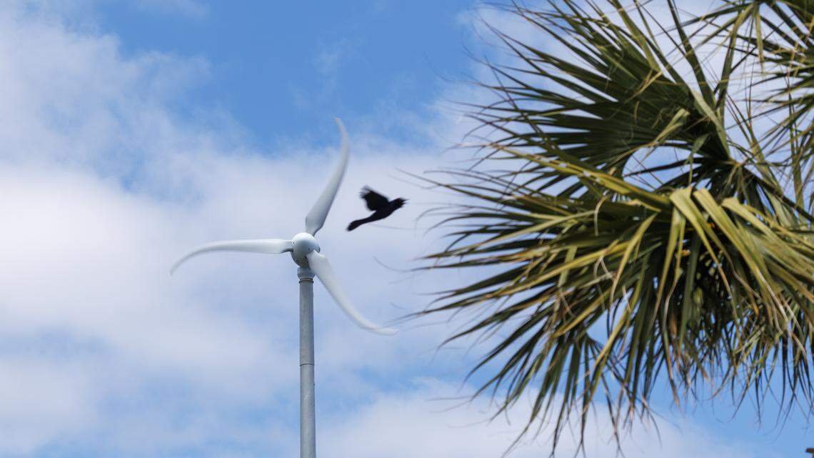 Wind energy in SC stalled by federal opposition. Five things to know