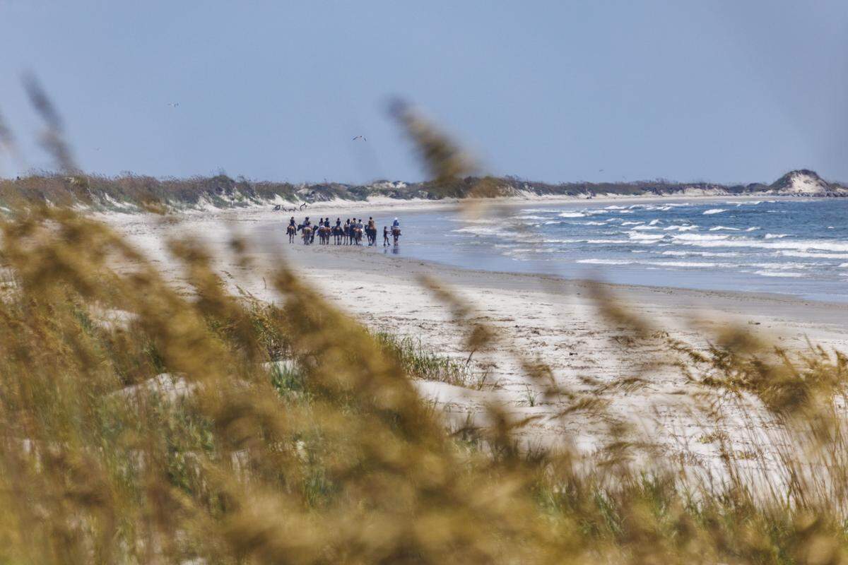 Inlet Point Plantation, located on 4,000 acres of pristine land just minutes from North Myrtle Beach, offers horseback riding along the Atlantic Ocean on secluded Waties Island. The historic property offers horseback rides year round. Aug. 5, 2025.