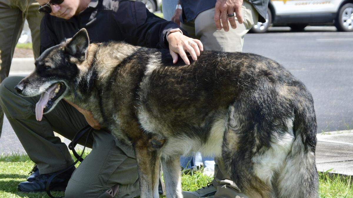 Officer Kane and Cpl. Misty Puckett in prayer before Kane’s escort to Murrells Inlet Veterinary Hospital